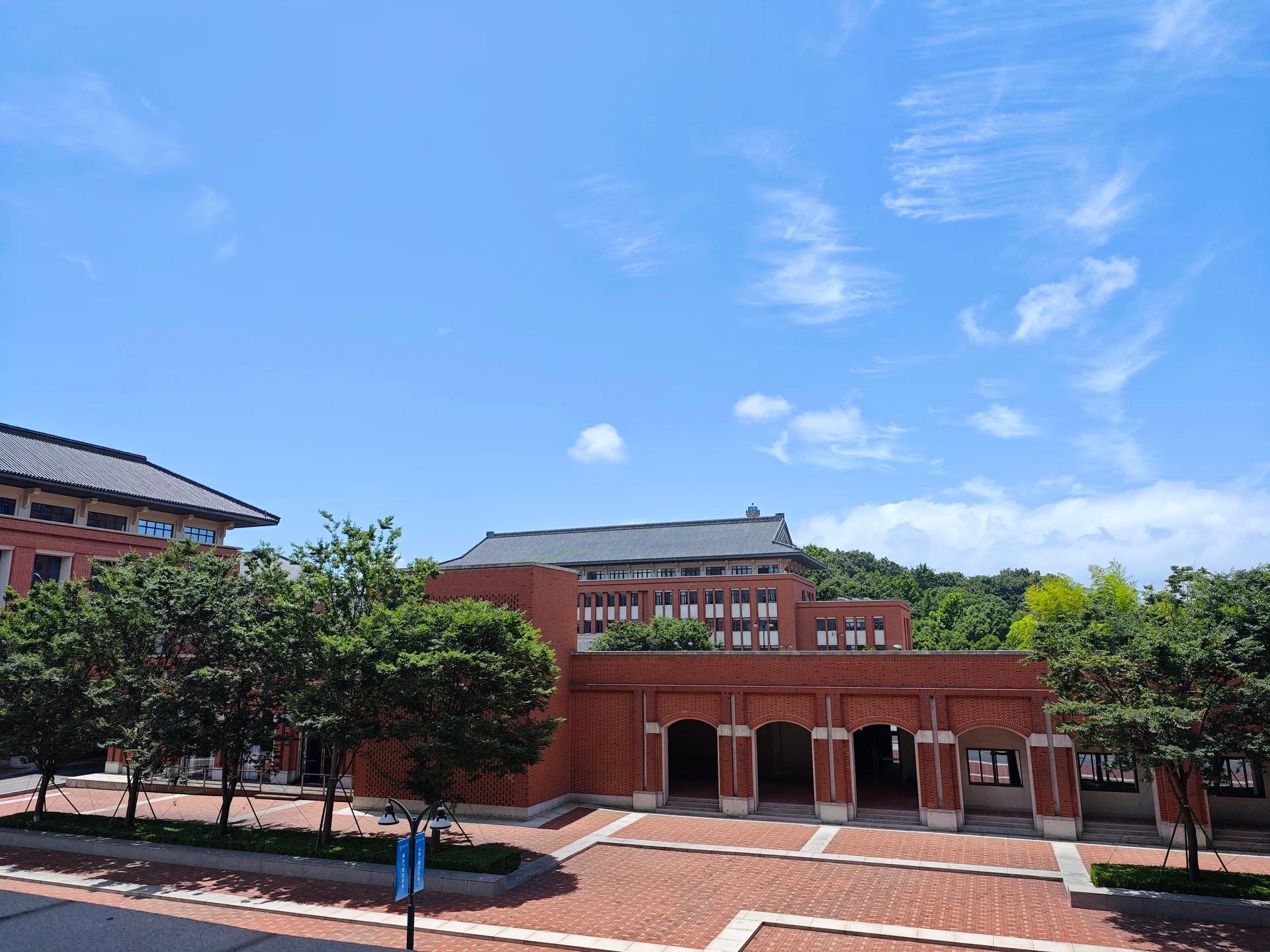 你管这叫台风？